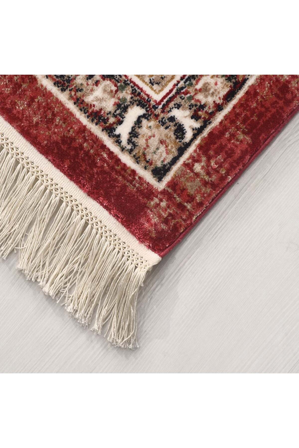 Asude Vintage Viscon Halı AE02