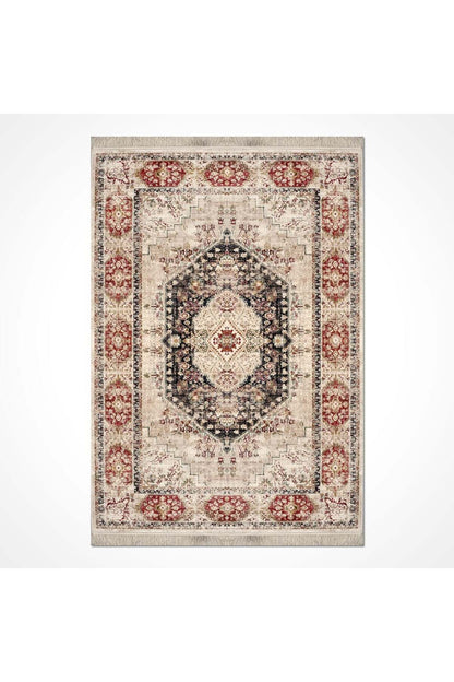 Asude Vintage Viscon Halı AE01