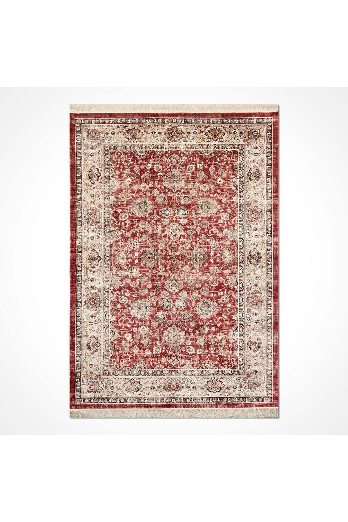 Asude Vintage Viscon Halı AE02