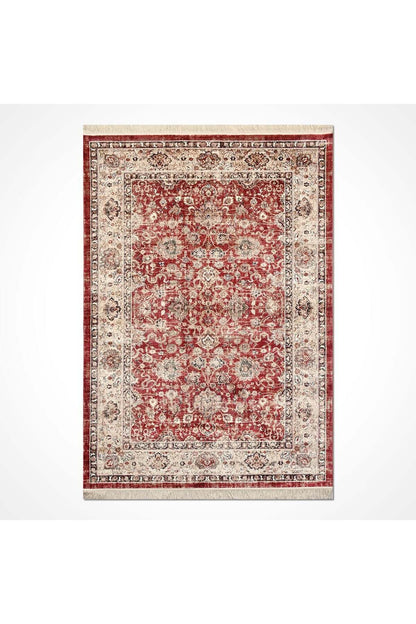 Asude Vintage Viscon Halı AE02